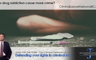 Does drug addiction cause more crime?